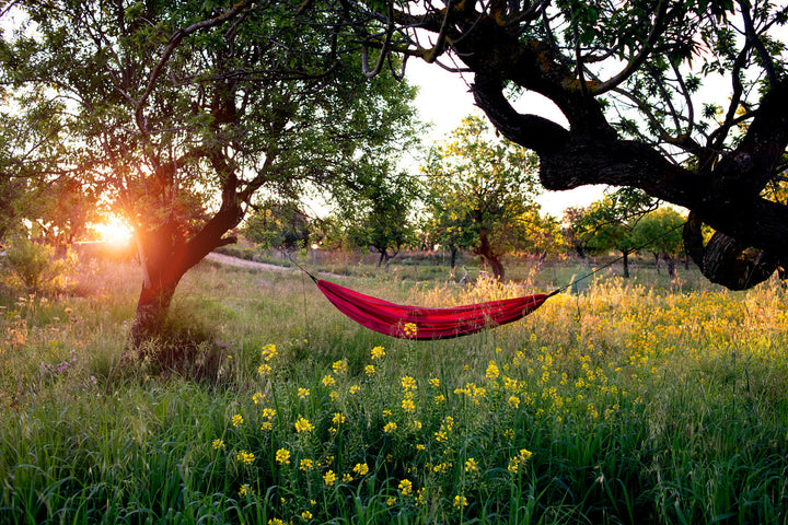 Silk Traveller XL - HikeWare  