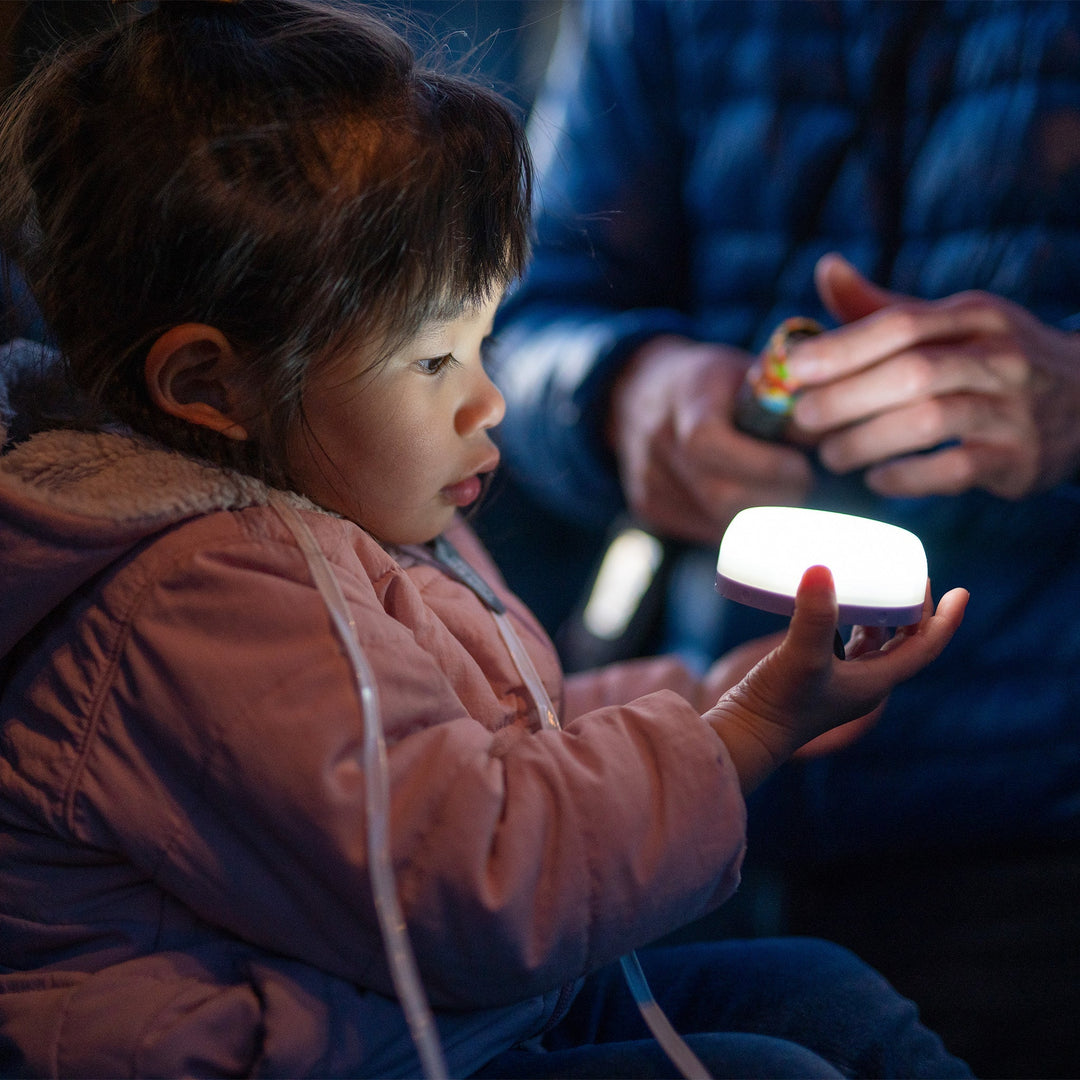 LEDLenser Kids KIDCAMP6 Lantern Light 60lm - Purple