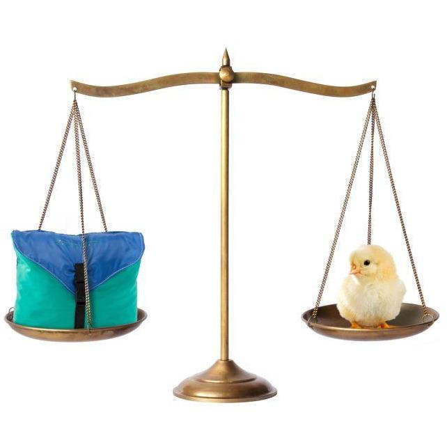 Adventure Hammock Ultra-Light - HikeWare  